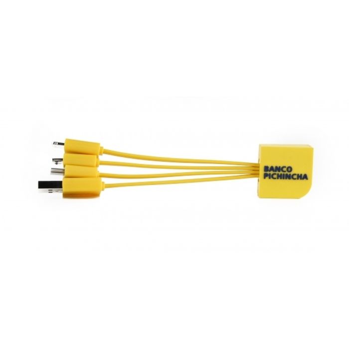 Personalized charging cable 3in1
