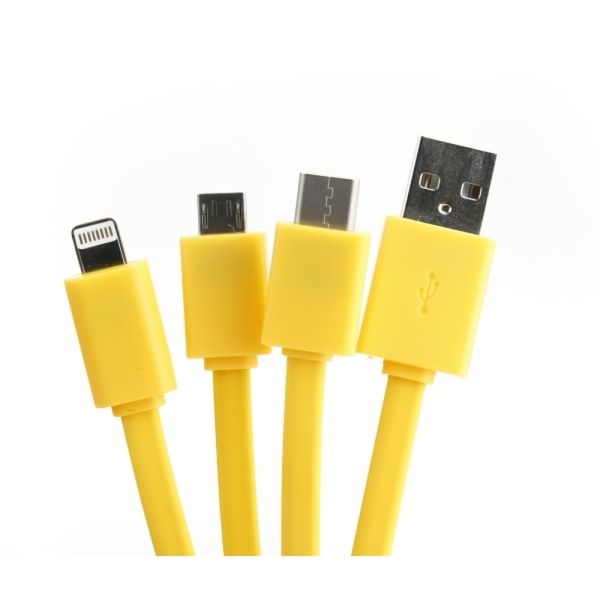 Personalized charging cable 3in1
