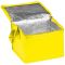 Non woven cooling bag NIEBY