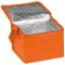 Non woven cooling bag NIEBY