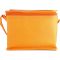 Non woven cooling bag NIEBY