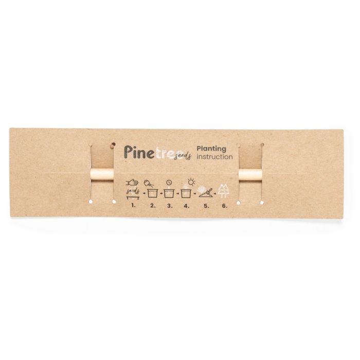 Pencil, pine seeds