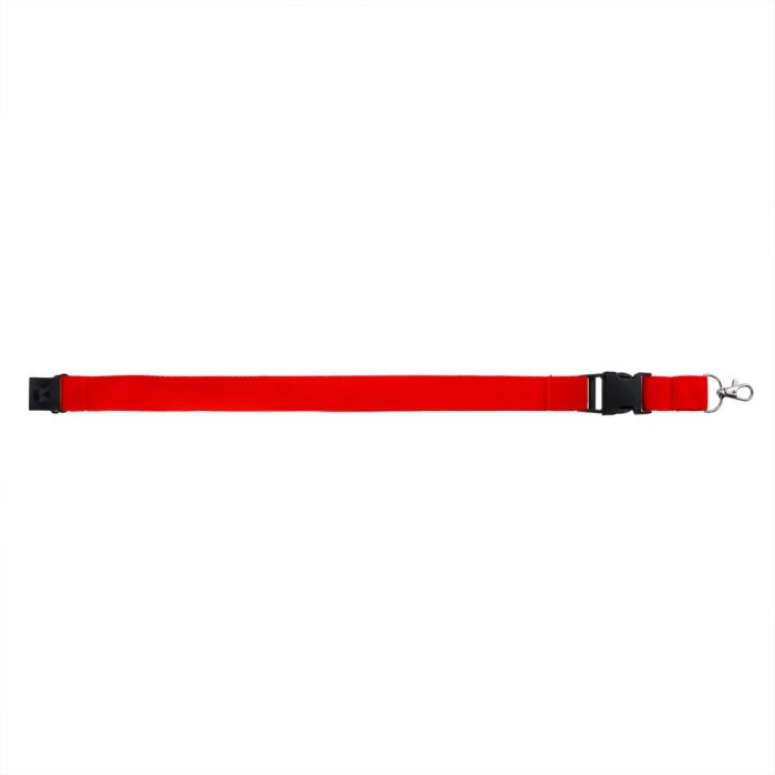 Lanyard