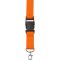 Lanyard