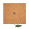 School set, pencil case, pencil, ball pen, ruler, eraser and pencil sharpener | Clark
