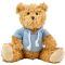 Teddy bear with hoodie