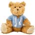 Teddy bear with hoodie