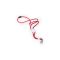 Lanyard