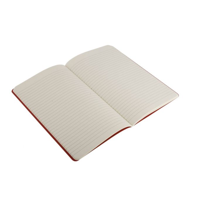 MOLESKINE Cahier Journal approx. A5