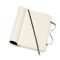 MOLESKINE Notebook approx. A6
