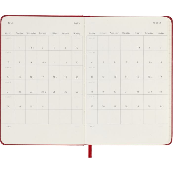 MOLESKINE diary