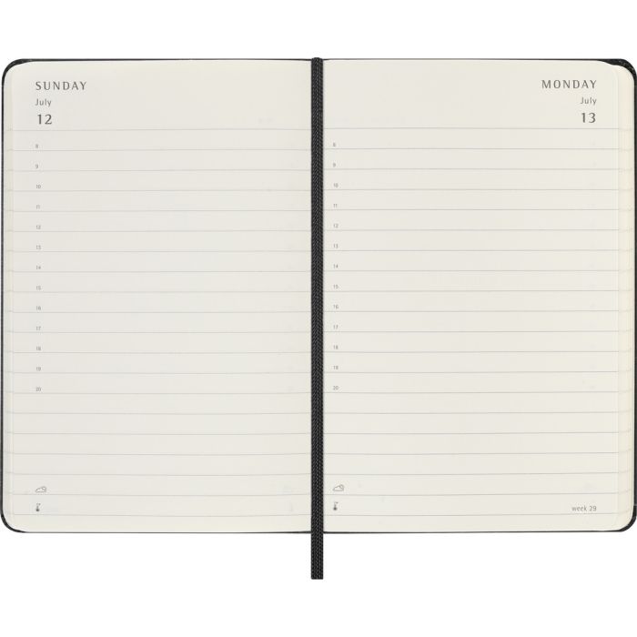 MOLESKINE diary