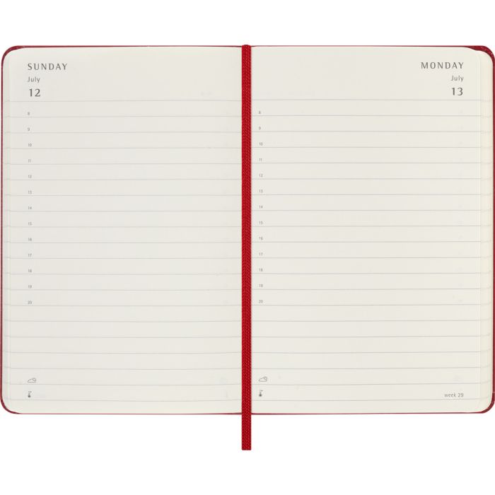 MOLESKINE diary