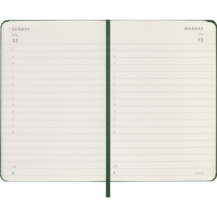 MOLESKINE diary