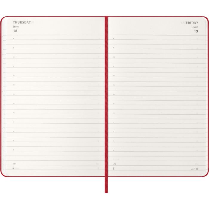 MOLESKINE diary