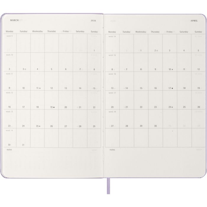 MOLESKINE diary
