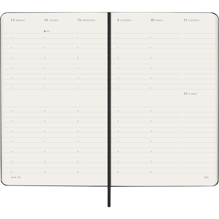 MOLESKINE diary