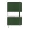 MOLESKINE diary