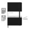 MOLESKINE diary