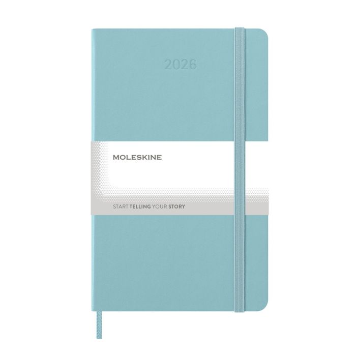 MOLESKINE diary