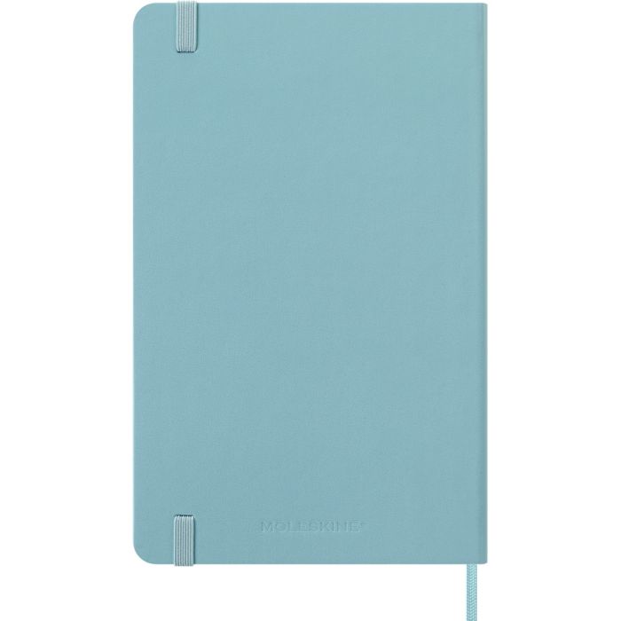 MOLESKINE diary
