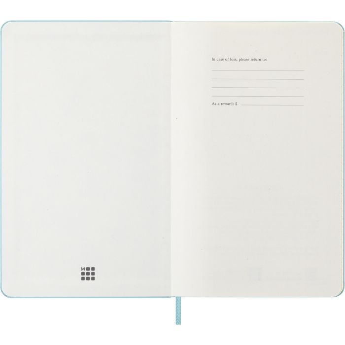 MOLESKINE diary