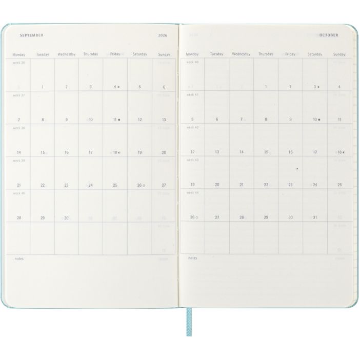 MOLESKINE diary
