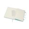 MOLESKINE Notebook approx. B5