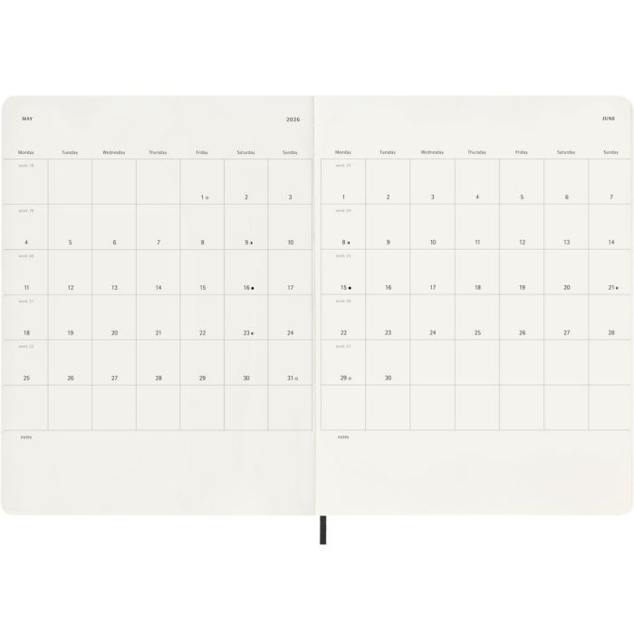 MOLESKINE diary